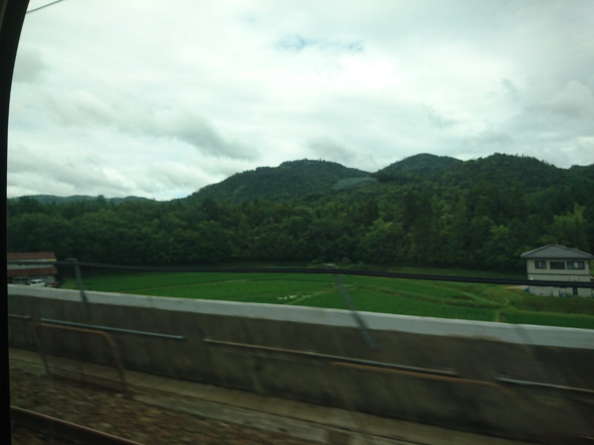 Fiona Jarnefeldt@Ship1 (@pso2_Fiona_) | Twitter