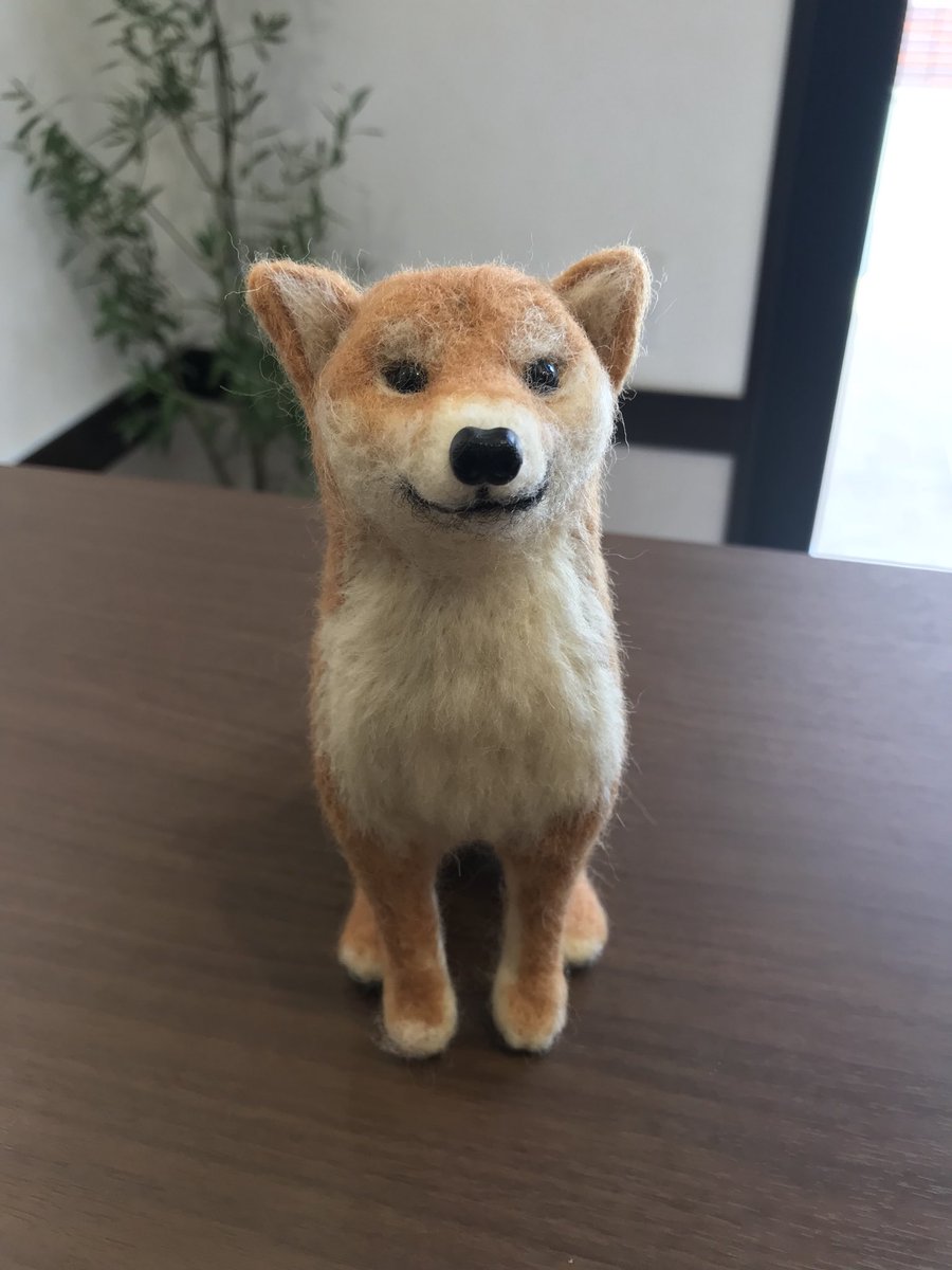 キタイチベーカリー こんにちわ キタイチの新しい看板犬です なんと お客様が羊毛フェルトで実物そっくりに作って下さいました このクオリティで趣味だそうです 凄すぎます ありがとうございました 本物より賢そう キタイチベーカリー 北浦