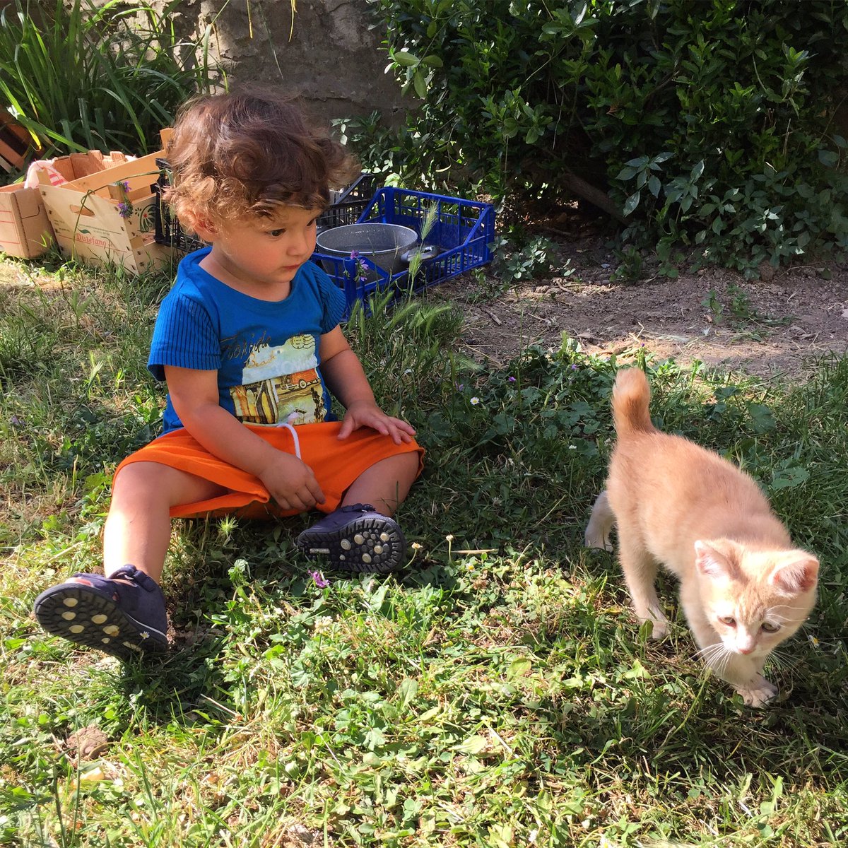 sara orsi (@saraorsi16) on Twitter photo 