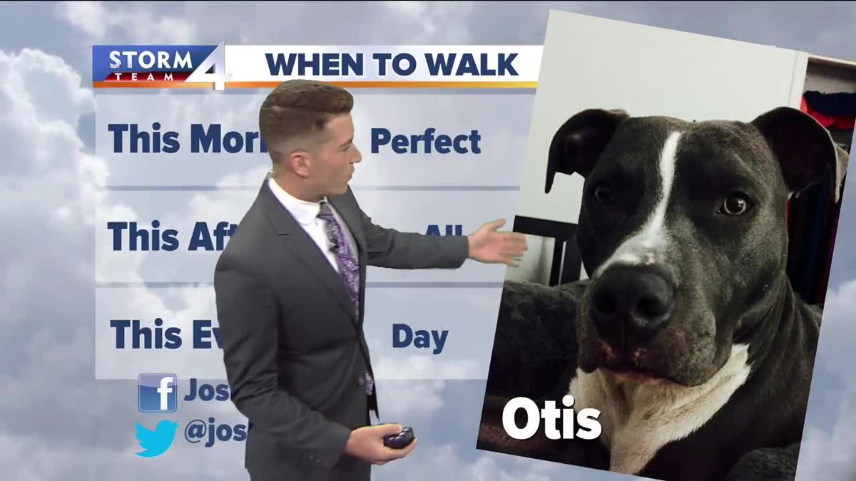 JuliaFello's tweet photo. "Otis" is @joshwurster_ 's #WhenToWalk dog who shares its
PERFECT
ALL
DAY! https://t.co/KdwySatwie