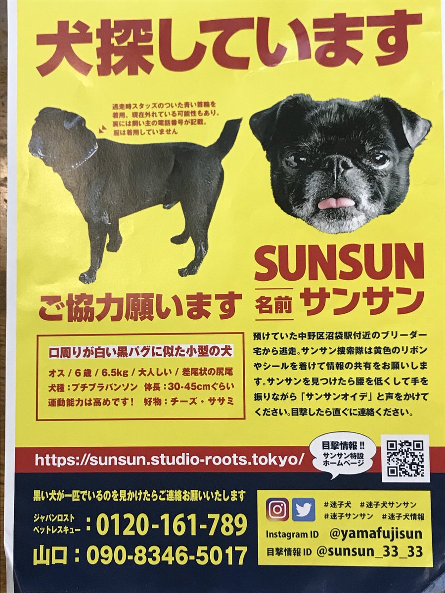 迷子犬サンサン