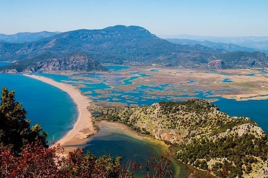 Turkey Homes on Twitter: "5 Reasons to visit #Dalyan: Iztuzu Beach and carretta carretta #Turkey #Travel #Carretta https://t.co/ors4NTxMes… "