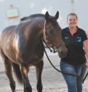 Chevalpartenair's tweet photo. ✅Qu'est-ce que le métier de groom ? 
✅Quelle formation pour devenir groom de haut niveau ?
✅Où se former ?
Pour tout savoir avec Page concours SHA La Rochelle c'est par ici https://t.co/Xz3CaeJCA6