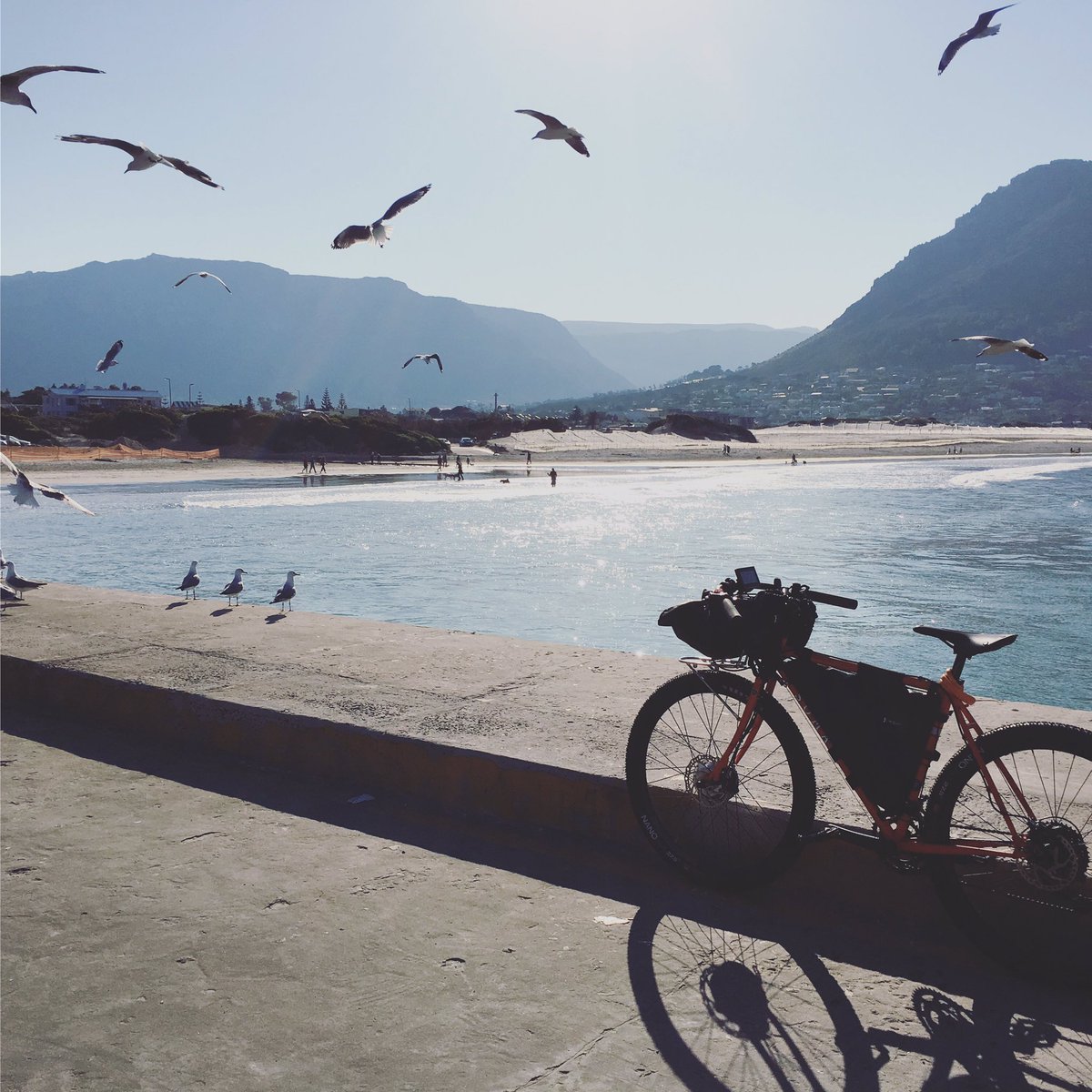 Flight to happiness! #bikelife #lifebehindbars #summerinwinter #pictureperfectday #houtbay