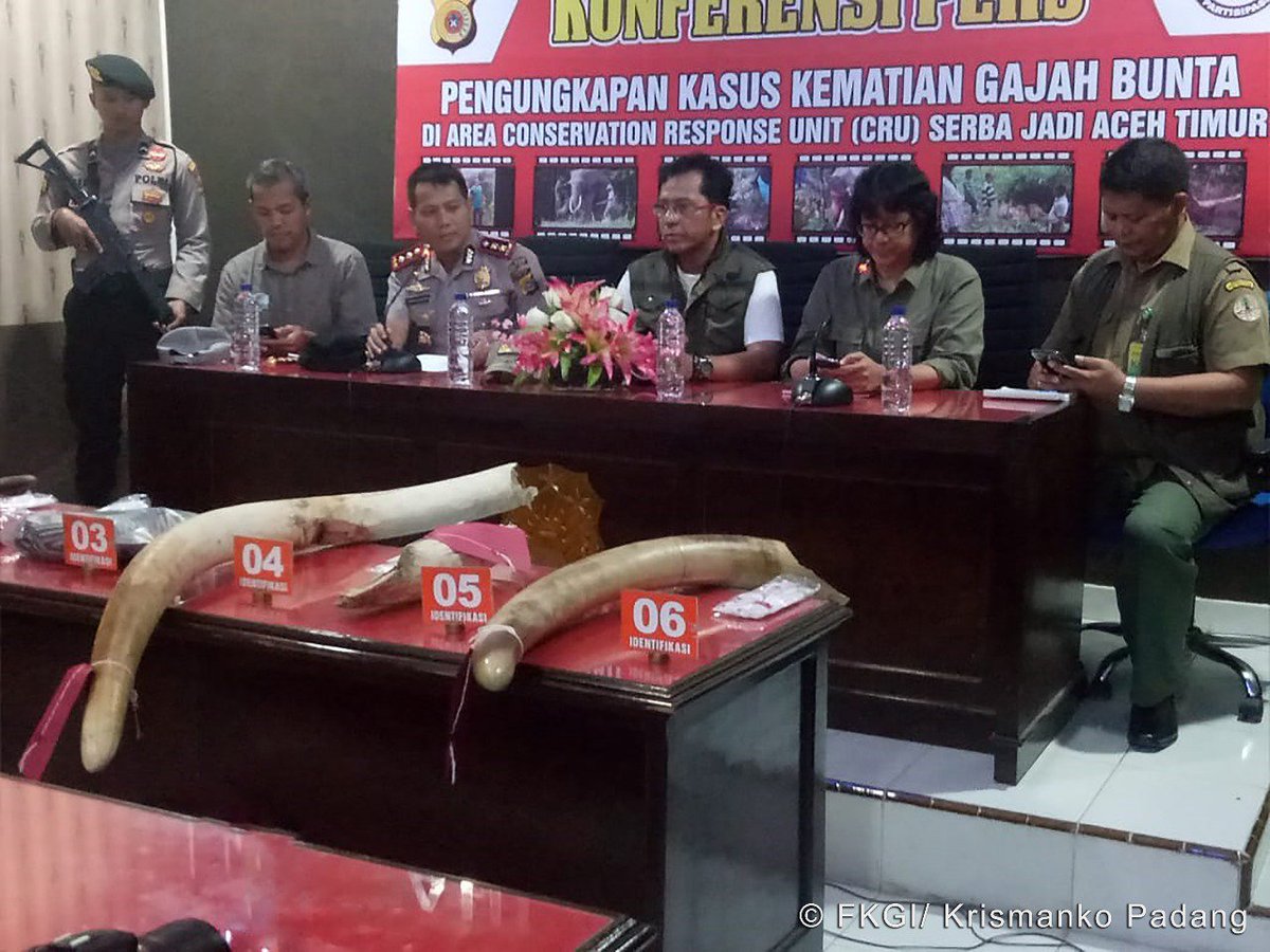 Tersangka pembunuh Bunta telah ditangkap. Kepolisan Resort Aceh Timur mengungkapkan bahwa telah ditetapkan 2 orang sebagai tersangka dan telah ditahan pihak Polres Aceh Timur, serta 2 orang lagi pelaku ditetapkan sebagai Daftar Pencarian Orang (DPO) dan sedang dalam pengejaran.