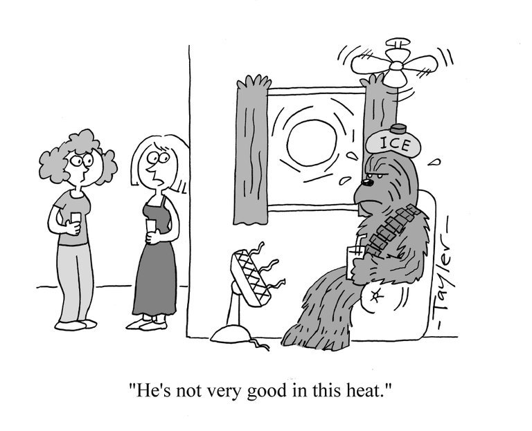 taylertoons's tweet photo. Signed #Chewbacca cartoon now available in my online store, folks :) 
https://t.co/nX0W4NyfbX https://t.co/9BIrsqoFMv
