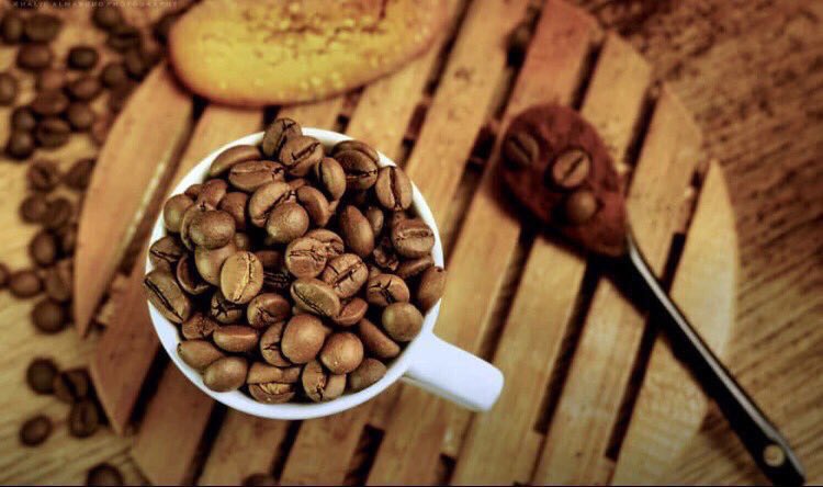 السعادة شعور، لكنها في بعض الأوقات قهوة 💛