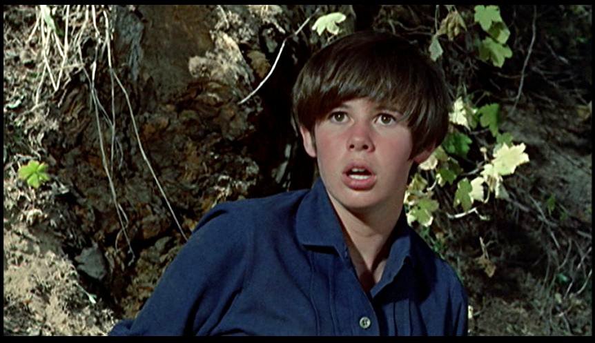 Happy birthday, Kim Darby! 