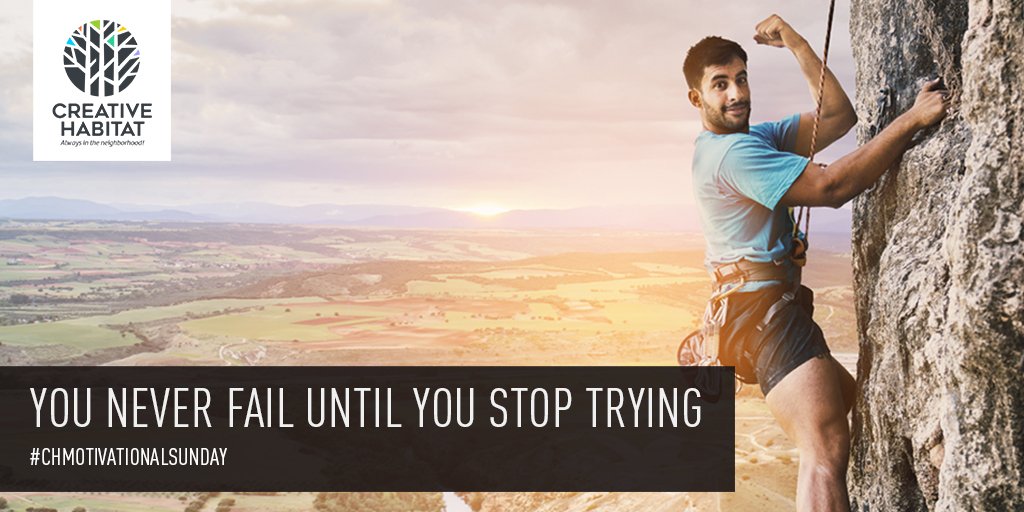 Creativ_Habitat's tweet photo. #MotivationSunday #Motivationalquote #Motivationfortheday
Do it Now! Sometimes 'Later' becomes 'Never' https://t.co/3A1CWIv2z9