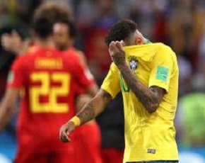 Funny Cats tweet media