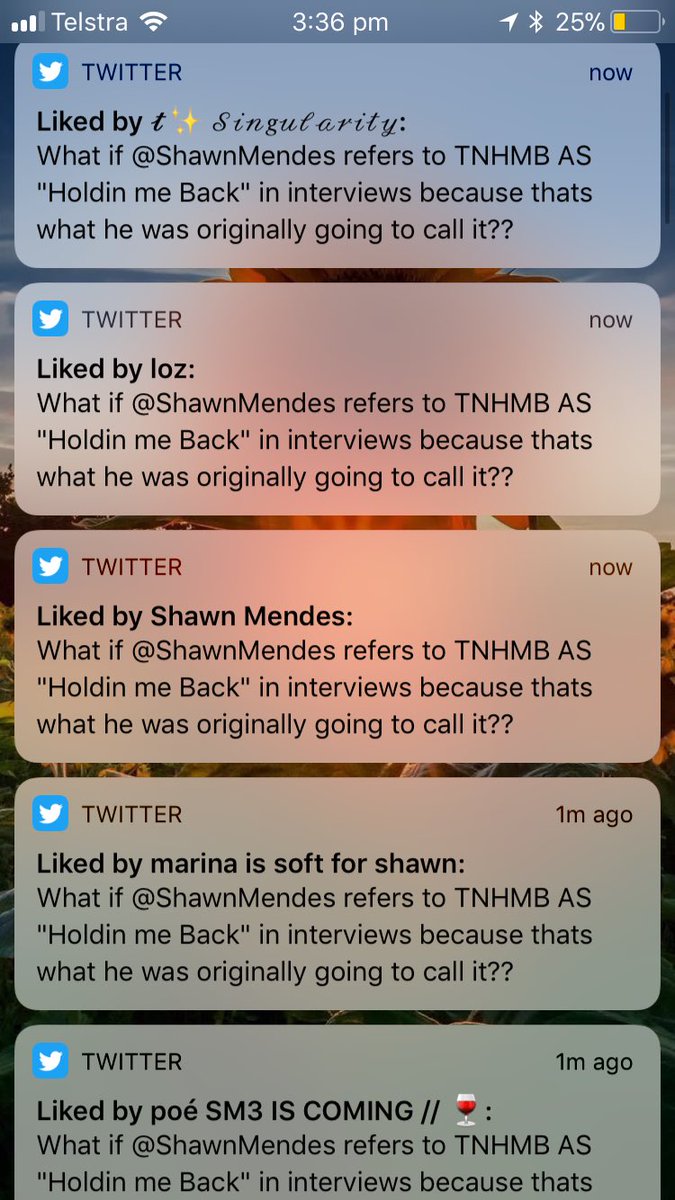 fallinready's tweet photo. thankyou for constantly making me happy @ShawnMendes 💞💓💗💖 https://t.co/Ko4VluJTAL
