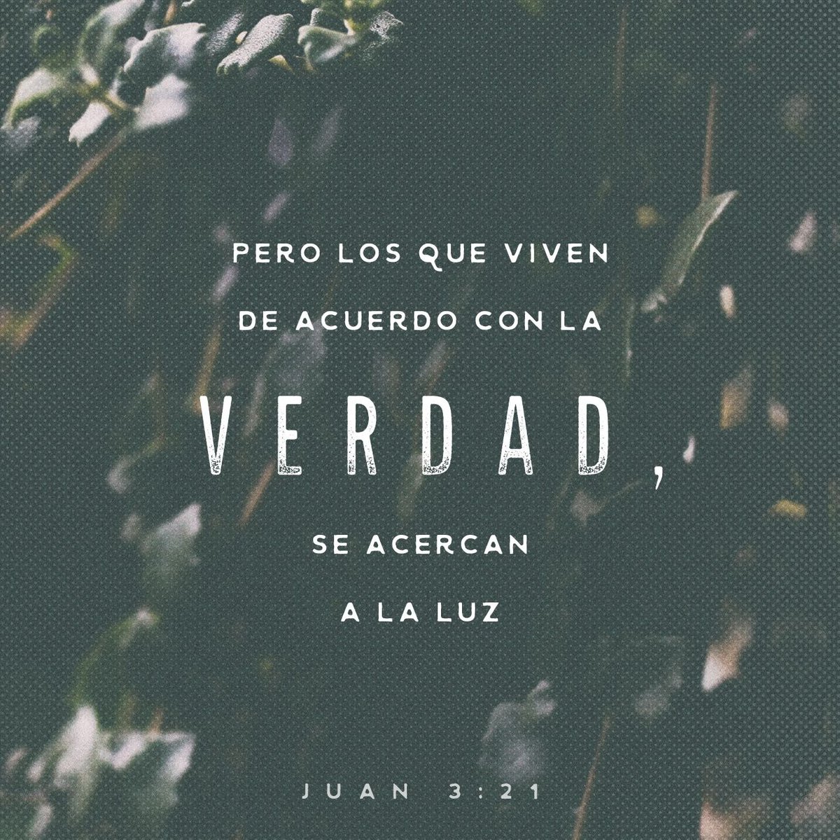 Day_Gisela's tweet photo. Porque todo aquel que hace lo malo, aborrece la luz y no viene a la luz, para que sus obras… https://t.co/q9u0DHvw5H
