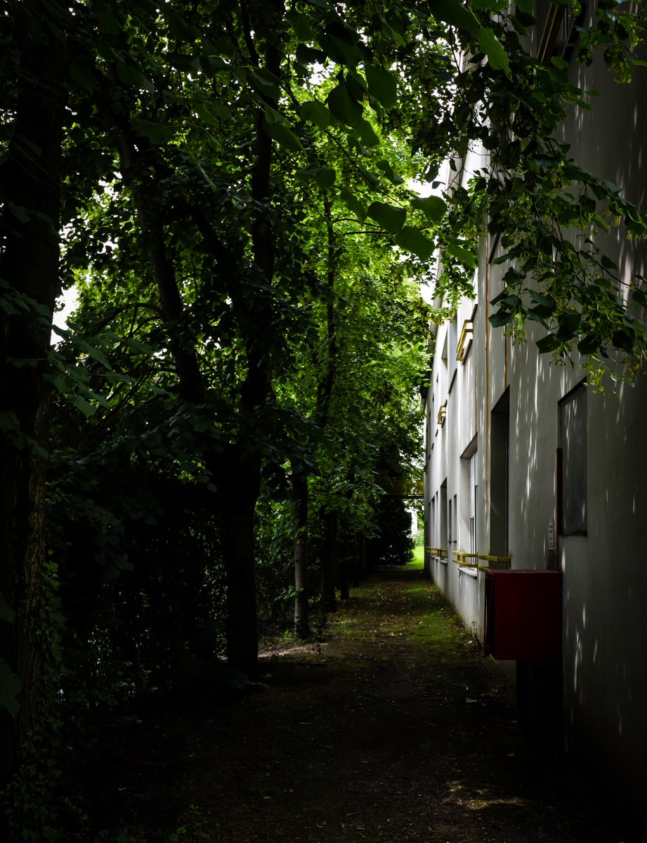 lnimeskern's tweet photo. Le #lyceeFeyder est en travaux depuis début juillet.
Le mois dernier, l'établissement avait organisé un concours photo ouvert aux élèves et au personnel. Admirez les plus beaux clichés ! 📸
@epinaysurseine @iledefrance #avantlarenovation #photo6 https://t.co/5M6yr1yBJW