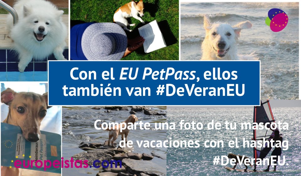 europeistas's tweet photo. ¿Has viajado recientemente por la UE con tu mejor amigo? ¿Cómo fue la experiencia con el pasaporte europeo #PetPass?
📸 Sube una foto usando el hastag #DeVeranEU y etiquetándonos. https://t.co/eP9xgJUAP0