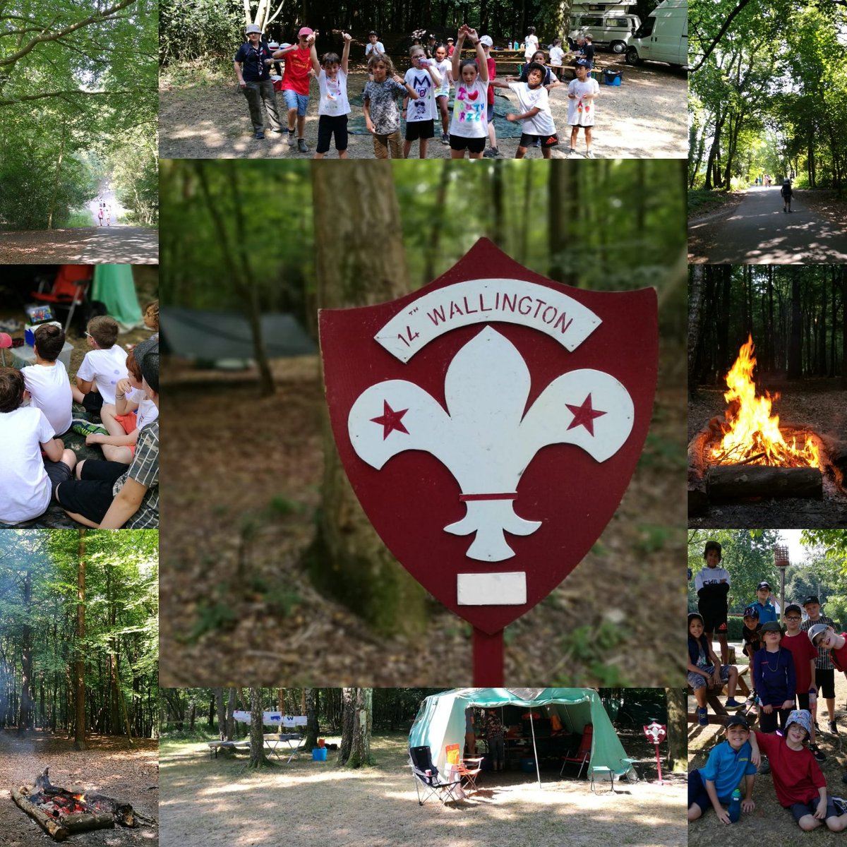 14th Wallington Scouts tweet media