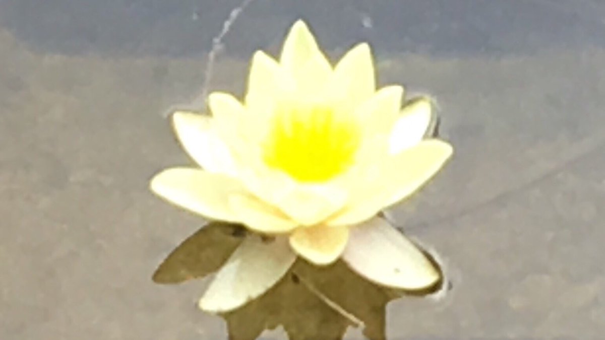 “The main thing God gets out of your life is not the achievements you accomplish, it’s the person you become.” #DallasWillard