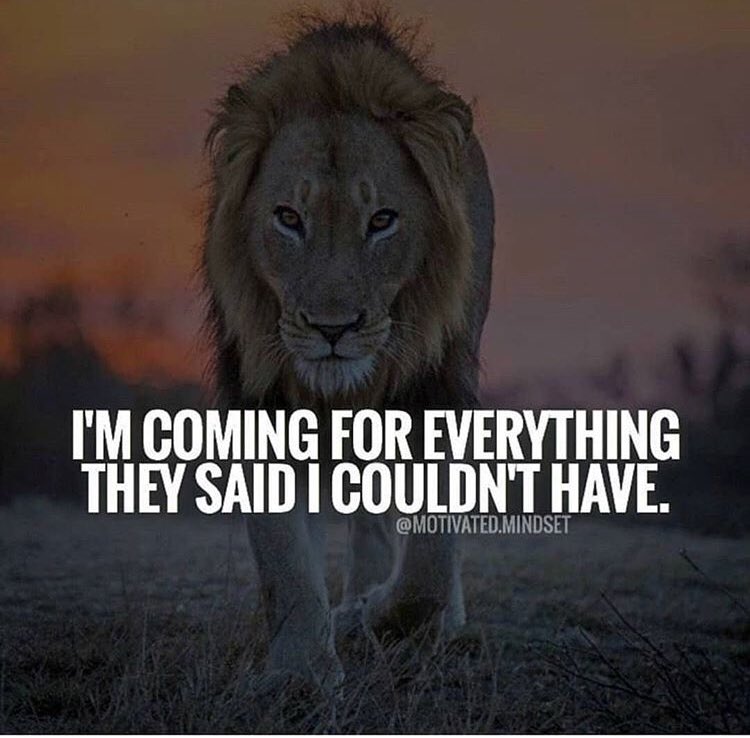 JayG_Ghost's tweet photo. About time I did it for me and not everyone else 👑🦁 https://t.co/2pxkmC96rL