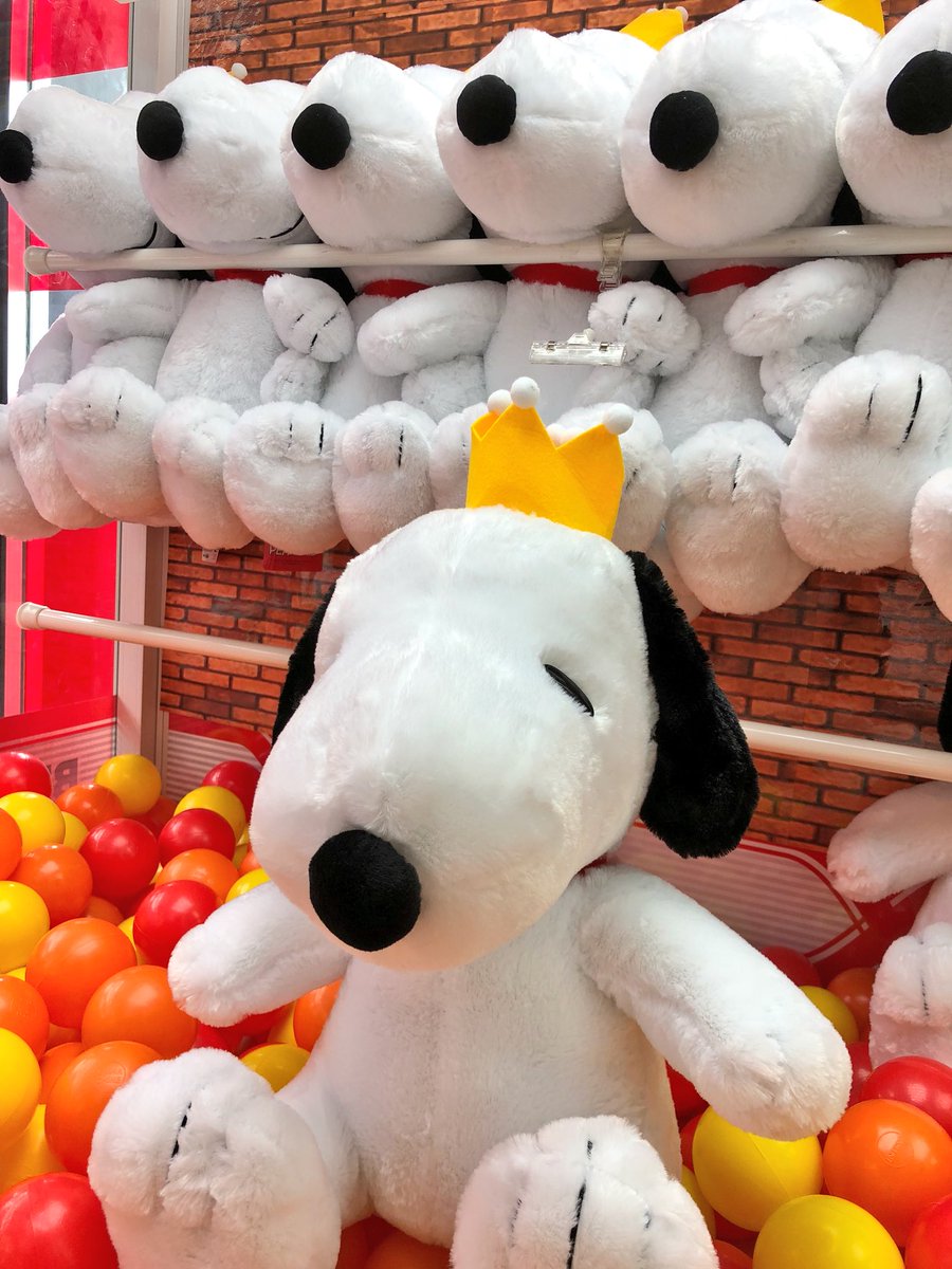 ドラマ八王子高倉店 Twitterren 50周年 Snoopy ギガジャンボ 50周年アニバーサリーぬいぐるみがufoキャッチャー に登場 とっても可愛いスヌーピーですよ 50周年 Snoopy スヌーピー ぬいぐるみ