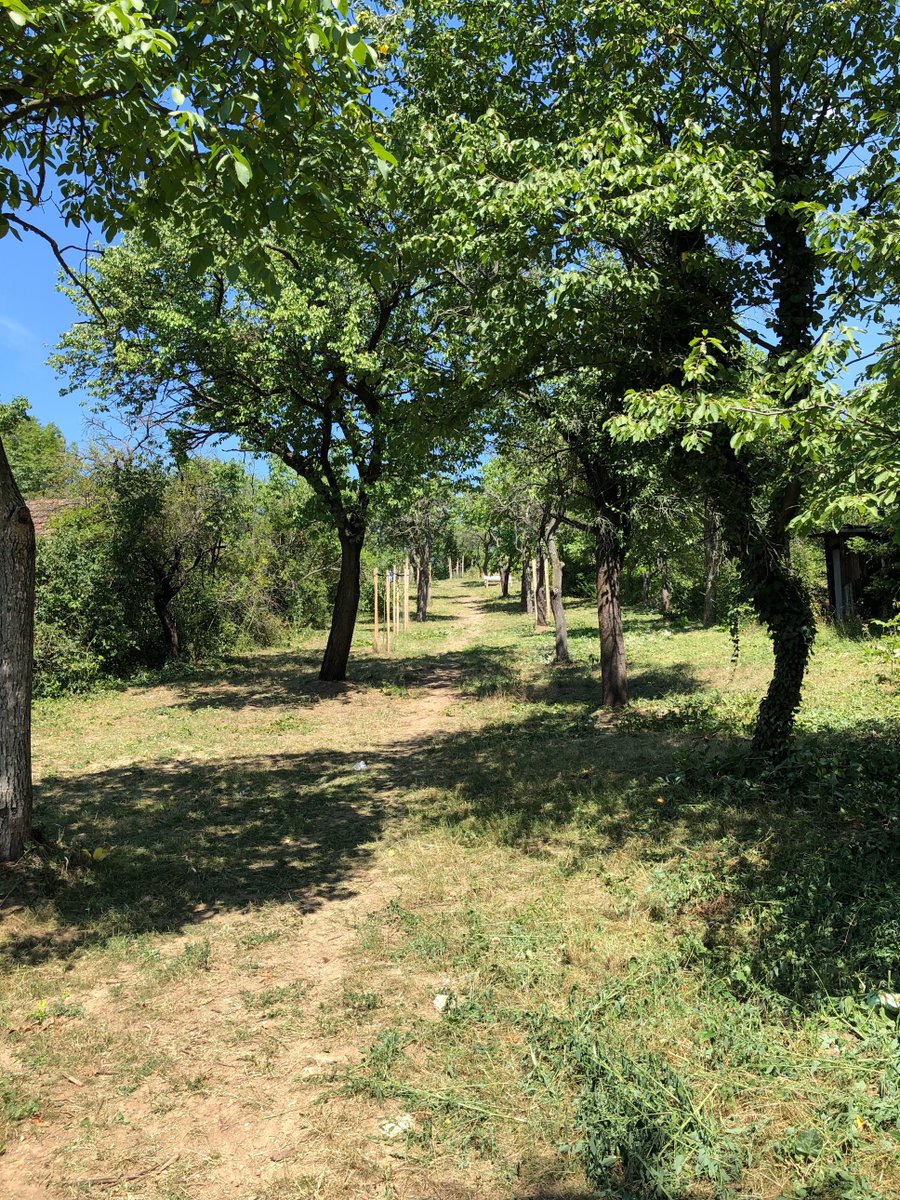 kunc_zidenice's tweet photo. Cesta Soví alejí nad Parkem Bohumila Hrabala je vysekána. Na zprovoznění studny se pracuje.
#židenice #timo #parkbohumilahrabala #sovialej #vyhlídka https://t.co/FiFimCokNa