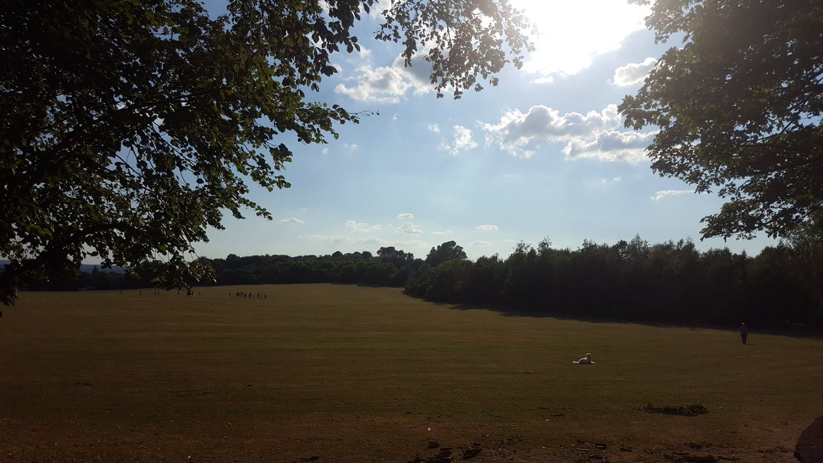 FriendsofKingAl's tweet image. 