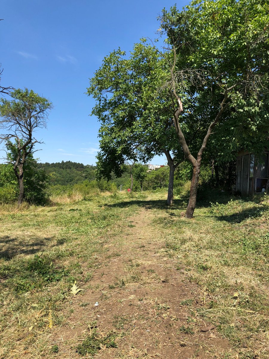 kunc_zidenice's tweet photo. Cesta Soví alejí nad Parkem Bohumila Hrabala je vysekána. Na zprovoznění studny se pracuje.
#židenice #timo #parkbohumilahrabala #sovialej #vyhlídka https://t.co/FiFimCokNa