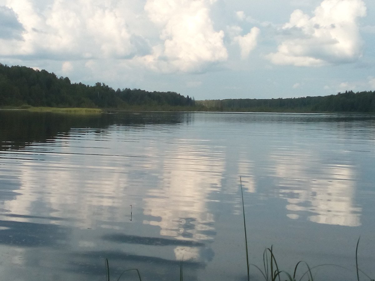 MyProblem8's tweet image. ❤️