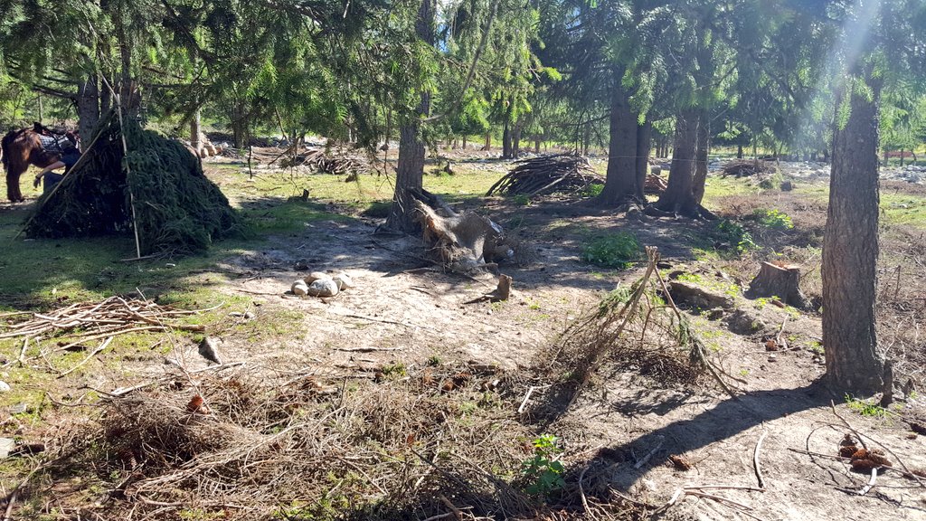 Francesca&Roberto tweet media