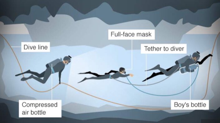 Katie Notton tweet media