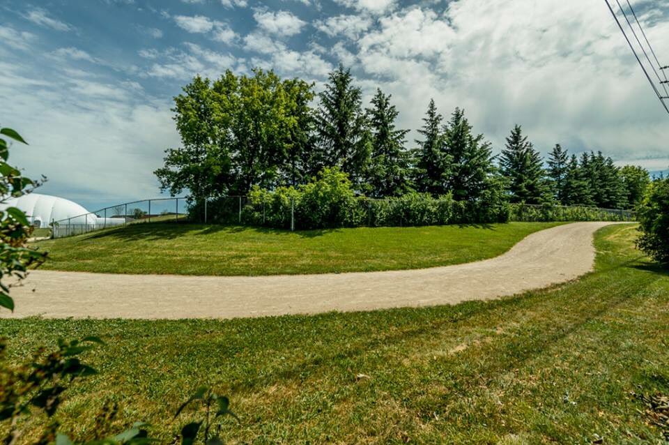 TawnyaGvoich's tweet photo. 126 Municipal Street 🌳 will be OPEN TODAY, SUNDAY 2-4PM. Completely renovated and backing onto the park! #greenspace #royalrectrail #privatelot #openhouse #olduniversity https://t.co/JHXgUijmRY