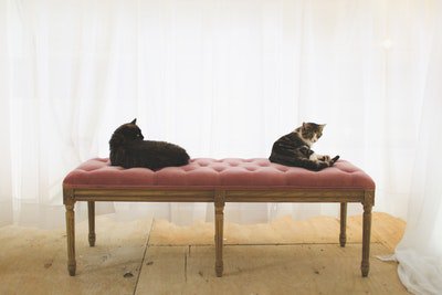 lcaduff's tweet image. Photo By Katie Treadway | Unsplash - via @Crowdfire  
 #advertising #advertisingagency