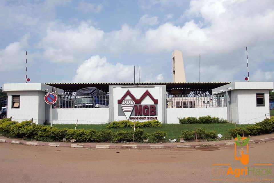 CivAgriHack's tweet photo. [ CIVAGRIHACK 2018 ] 

Après la visite terrain, place à la rencontre avec les responsables du marché de Gros de Bouaké. 

#CivAgriHack #Psndea #Psac #Ict4Dev #Akassoh https://t.co/QNJakLsH1T