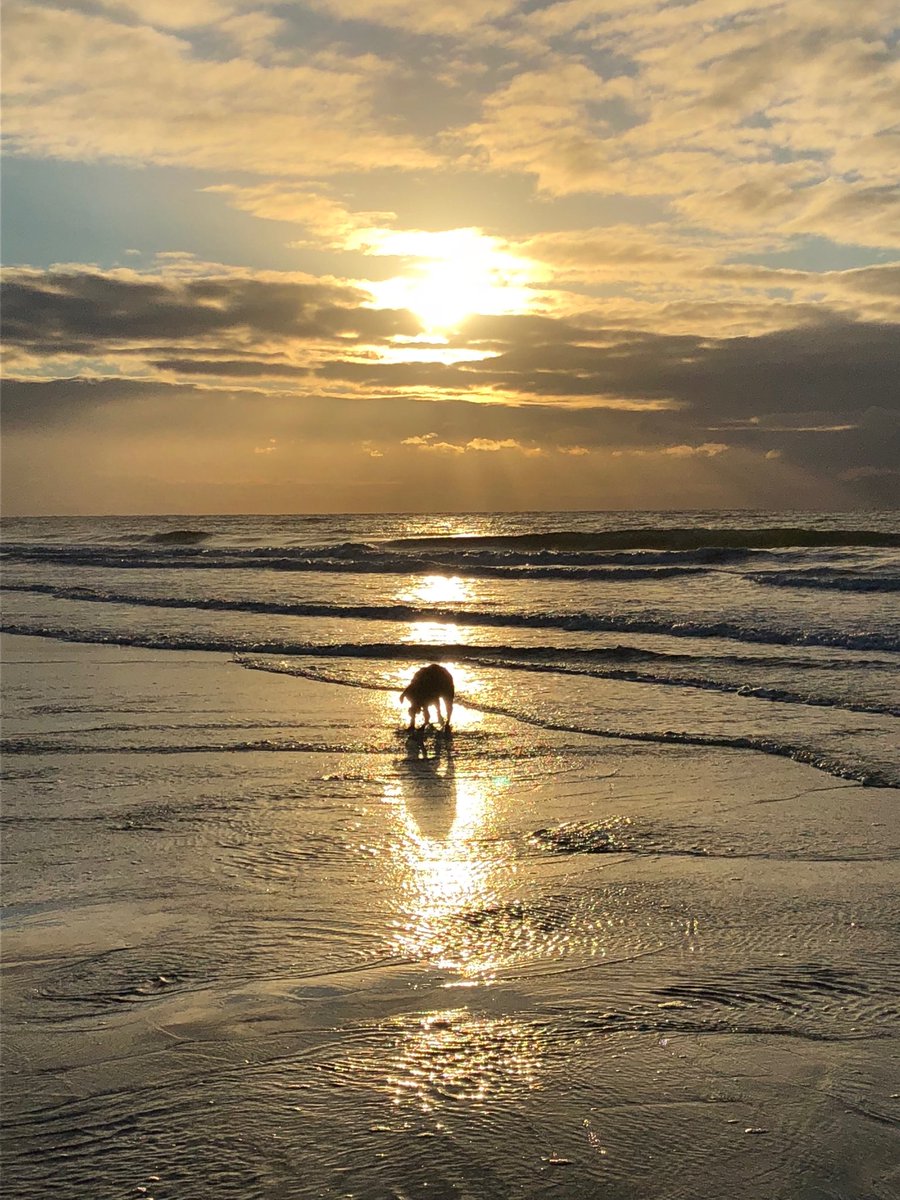 Morning Walk with Marley at the Beach....
It is Well....with my Soul...
New Mercies I see...