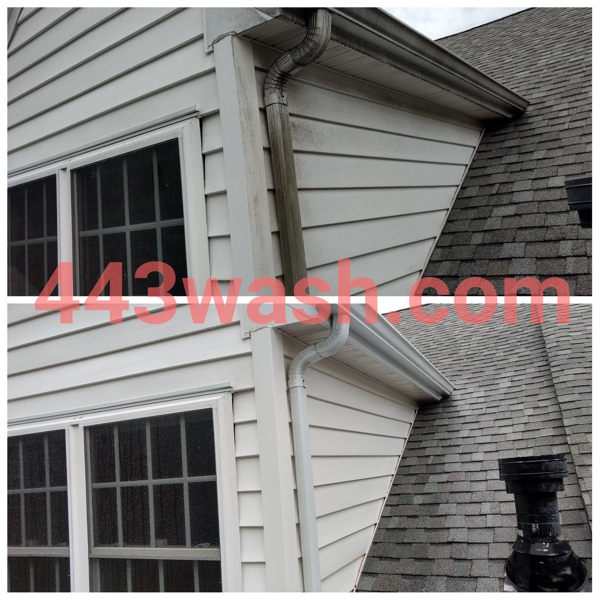 GriffsServices's tweet image. NO HIGH PRESSURE USED

443wash.com #Housewash #EllicottCity #Clarksville #Columbia #Elkridge #Woodstock #Hanover #pressurewash #powerwash #softwash  #443wash #griffsservices