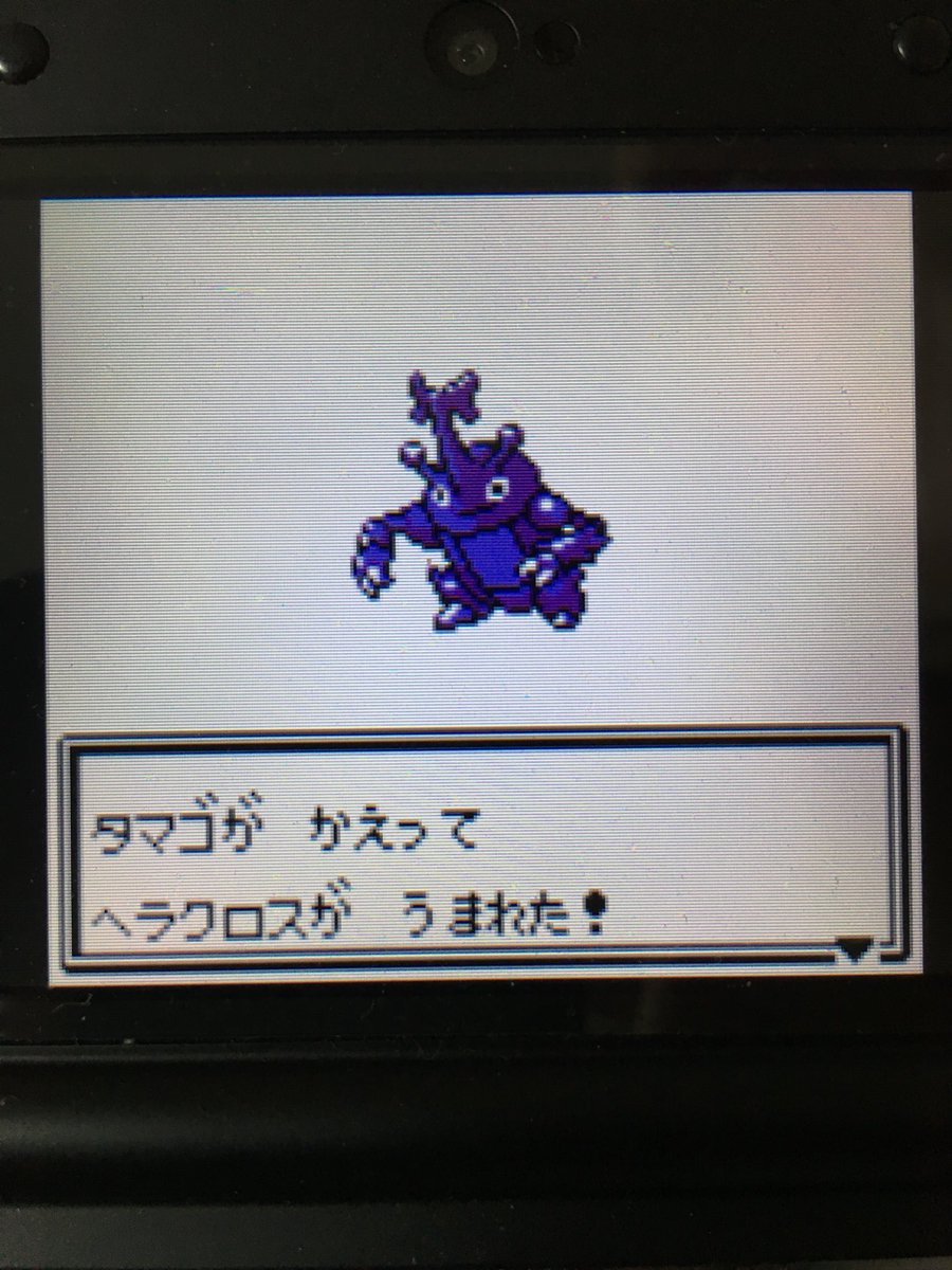 色違いポケモン紹介 Vc産ヘラクロス 自由に生きてあそblog