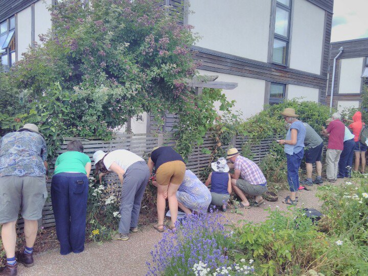 HelpBritBloss's tweet image. Pruning training on a cordon at @lilacleeds