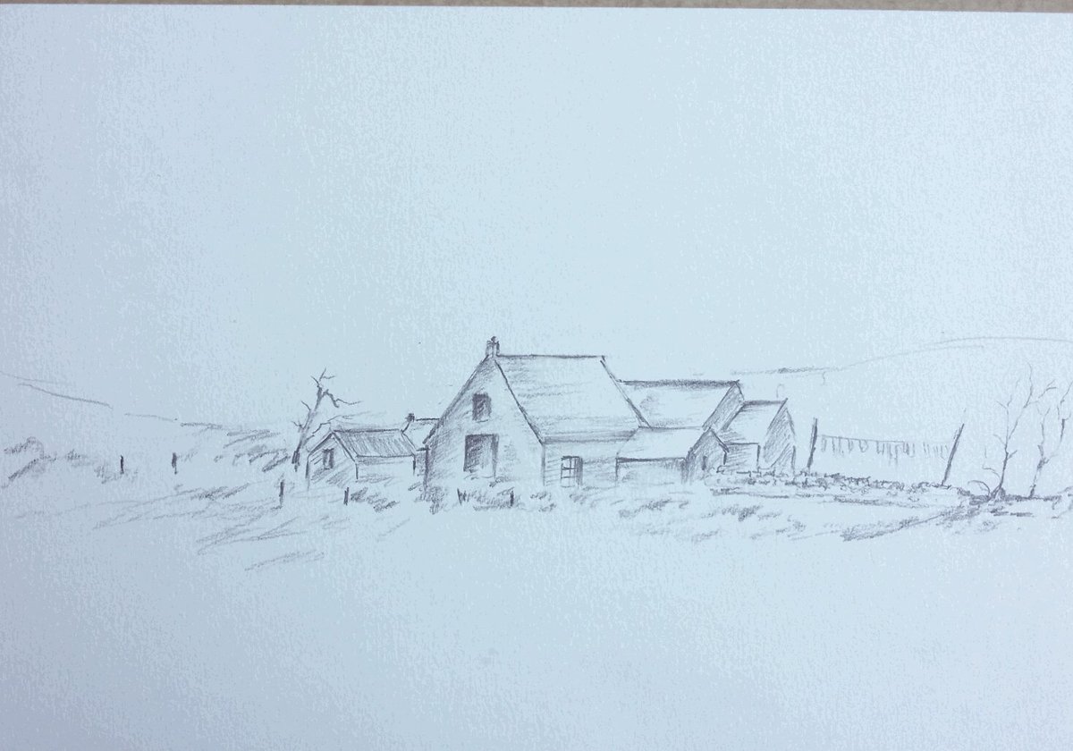 b collins tweet media