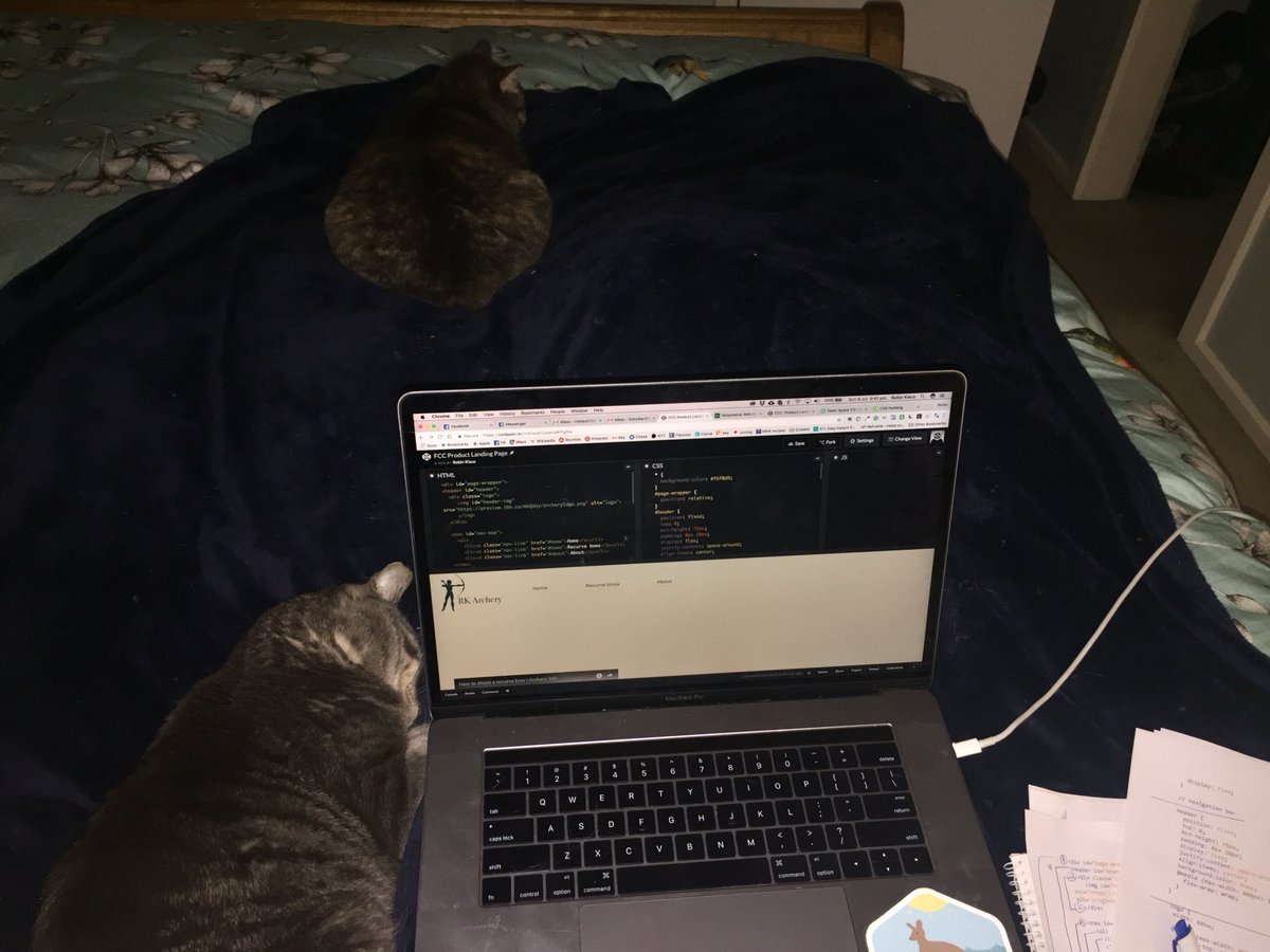 RMKwrites's tweet image. Working feverishly on @freeCodeCamp, hoping to complete my first certificate before or during tomorrow’s study group with @ossia! That’s some damn fine motivation if you ask me! #100DaysofCode #codingcats