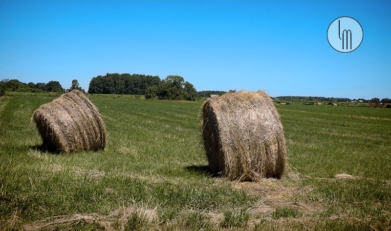 'Roll Em Roll Em Roll Em' by Leslie Montgomery
leslie-montgomery.pixels.com/featured/roll-…
#hay #bales #farmscape #photography #Thread #Threads