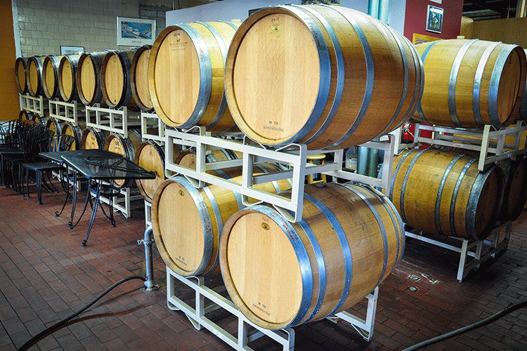 Northern Vineyards Winery has been making wines since 1977, one of the oldest Minnesota wineries in operation!