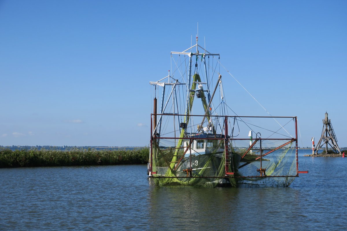 EcologieMM's tweet photo. Genuanceerde meningen, eigen waarnemingen en goede discussie over fonteinkruid overlast én natuurwaarden tijdens waterplanten excursie met de Egberdina vanuit @HoornNH in het Natura2000 gebied #Markermeer. @rijsberman @ceesloggen @HISWAVereniging https://t.co/oL6kC3Ayyp