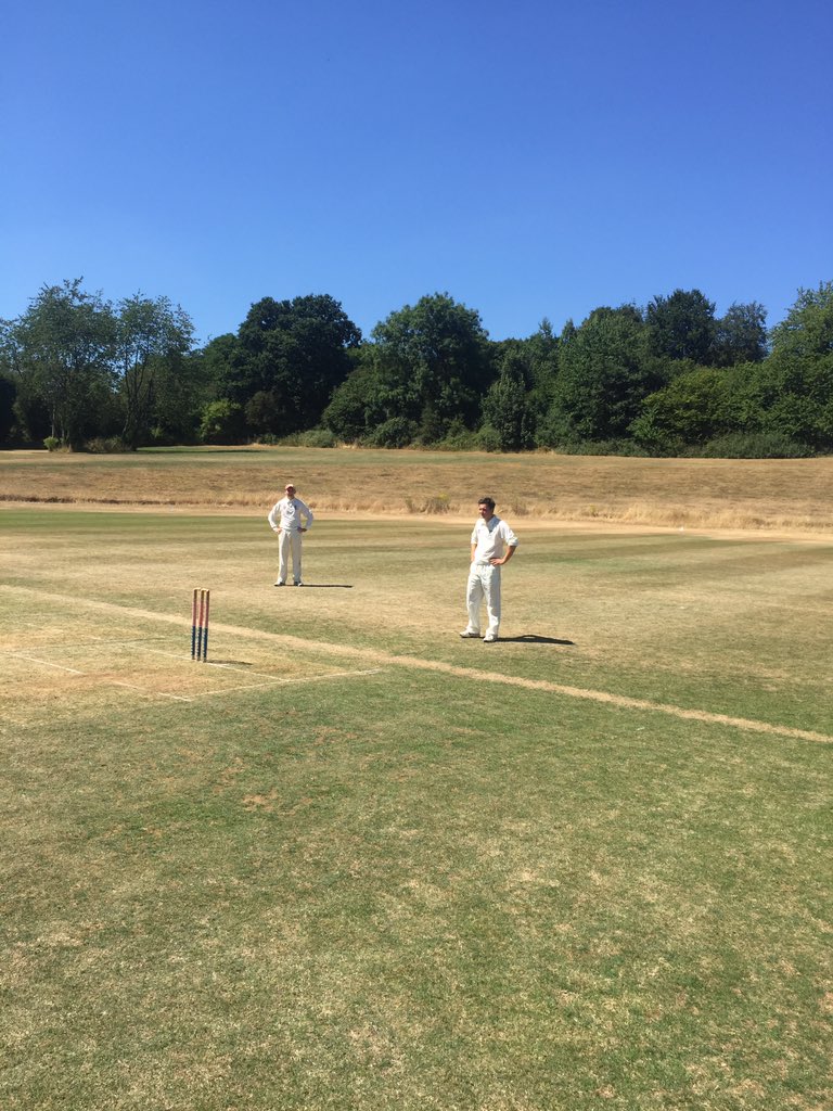 Hoppo waiting for his next victim #whisperingdeath