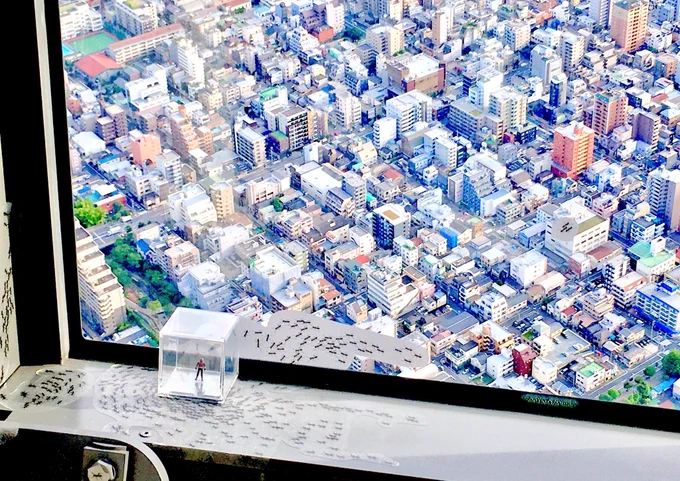 スカイツリー行ってきた!!!アントマン見つけれたよ等身大リトルグルートに会えたよよよヒィ 