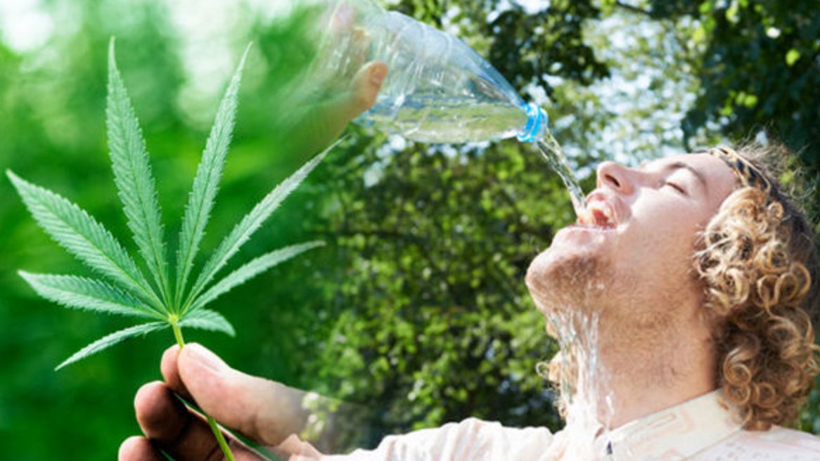 CBD infused water is now available at Holland and Barrett - what are the uses, risks and benefits?

express.co.uk/life-style/hea…
