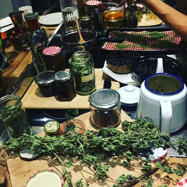 WisingerFasting's tweet photo. Yesterday we dried mushrooms with fennel tops, preserved jam, made tonics and tea with rose petals and learned lots more from the lovely @dethample 👍🏻🌸 An afternoon well spent! -> Check out my stories for more pictures! ☝🏻 #fastingcoach #healthco… https://t.co/IZRNrba9c6 https://t.co/GiQkM7n2Au