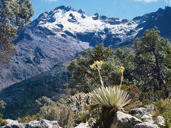 ArtedusCA's tweet photo. ¡Linda mujer preciosa merideña!

Mérida preciosa, esa con nombre de mujer, que con su naturaleza nos acobija, y nos recuerda que vale la pena luchar por un mejor porvenir, seguiremos adelante por nuestra ciudad.
 #8Jul #FelizDomingo #DomingoDeGanarSeguidores #SIGUEMEYTESIGO https://t.co/mnS4GPOmEo