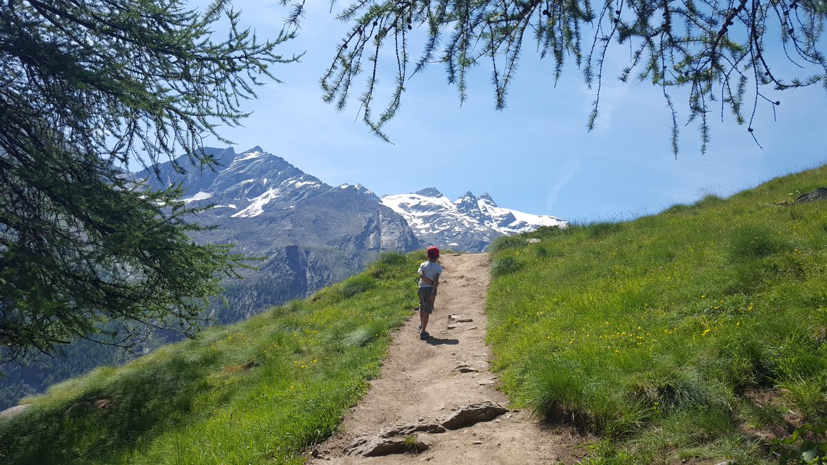 Francesca&Roberto tweet media