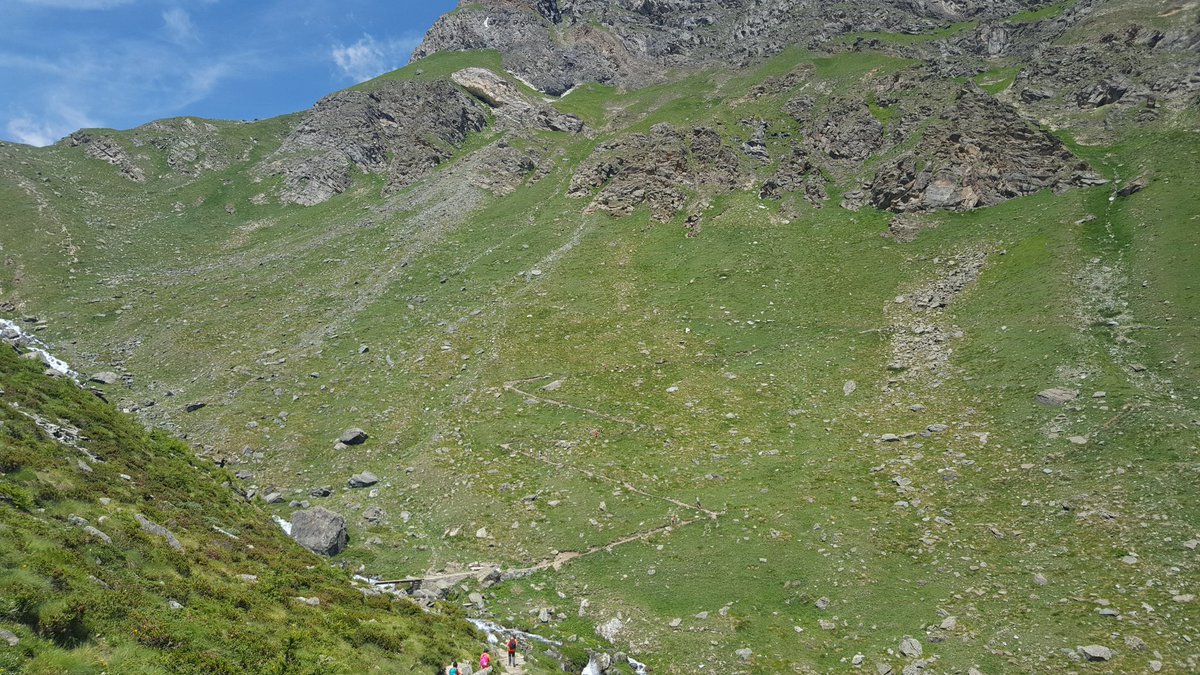 Francesca&Roberto tweet media