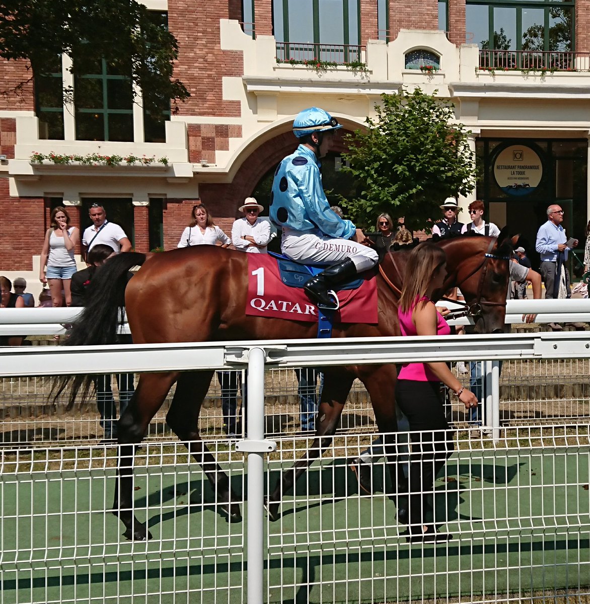 seenthestars's tweet photo. @RacingPost #Olmedo #Wusool #HeyGaman #Intellogent ahead of Qatar Prix Jean Prat @fgdeauville https://t.co/KiyDDfbdM1