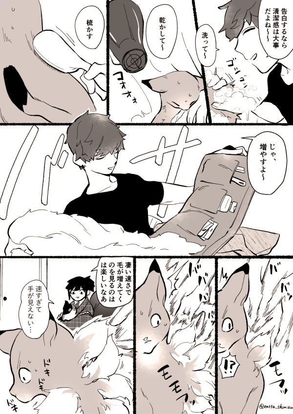 【創作漫画】3話目1～4ページ

猫塗り屋さんと『長毛になりたい短毛猫さん』と毛増し屋さん 

  #創作漫画 #ラフ漫画 #猫漫画 