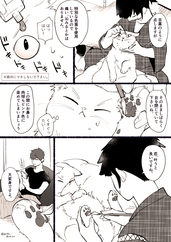 【創作漫画】3話目5～8ページ

猫塗り屋さんと『長毛になりたい短毛猫さん』と毛増し屋さん (後半)

  #創作漫画 #ラフ漫画 #猫漫画 